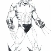 Wolverine Coloring Pages Images