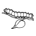 Caterpillar Coloring Pages Printable