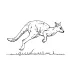 Kangaroo Coloring Page Pictures
