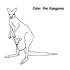 Kangaroo Coloring Pages Photos