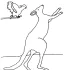 Pictures of Kangaroo Coloring Pages