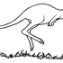 Printable Kangaroo Coloring Pages
