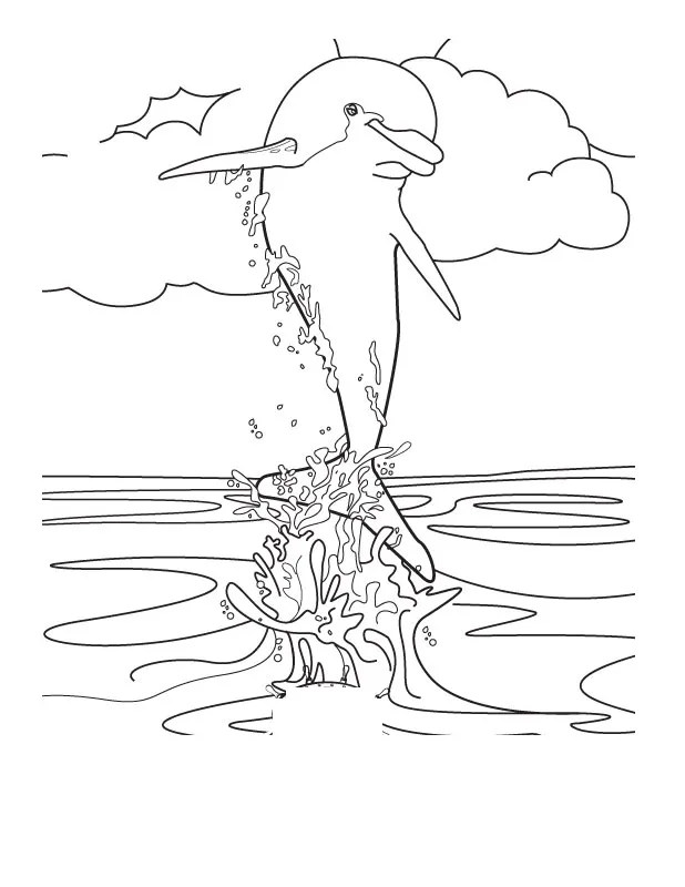 Dolphin Coloring Pages Pictures