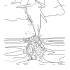Dolphin Coloring Pages Pictures