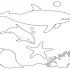 Dolphin Coloring Pages To Print Out