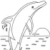 Free Dolphin Coloring Pages