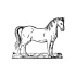 Online Horse Coloring Pages