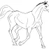 Princess Horse Coloring Pages