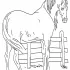 Sea Horse Coloring Pages