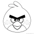 Printable Angry Bird Coloring Pages