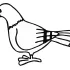 Pigeon Coloring Pages for Kids