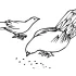Pigeon Coloring Pages Images