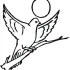 Pigeon Coloring Pages Printable