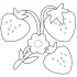 Strawberry Flower Coloring Pages