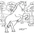 Jumping Pony Coloring Pages