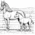 Mother and Pony Coloring Pages
